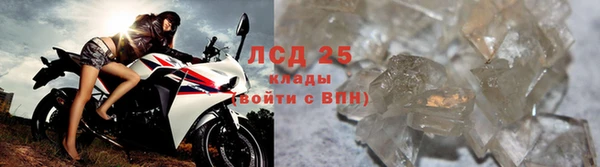 гидра Бородино