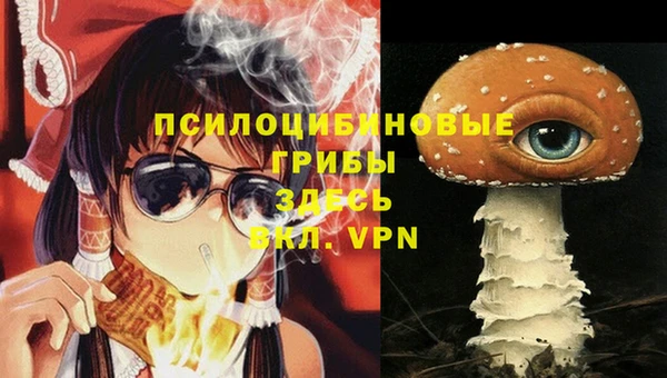 соль курить ск Бронницы