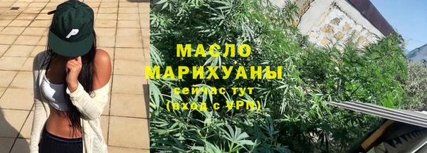 гидра Бородино
