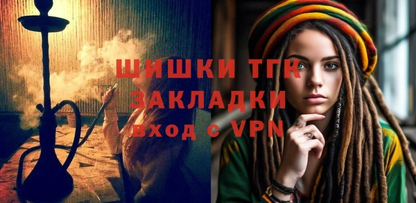 гидра Бородино
