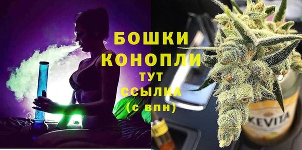 гидра Бородино