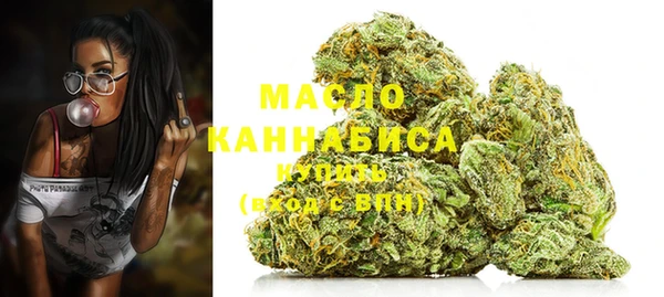 гидра Бородино