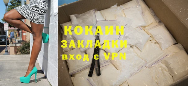 гидра Бородино